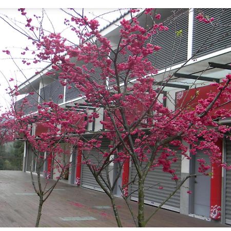 Miaoli Sanyi Shantongyazhu Homestay Ngoại thất bức ảnh