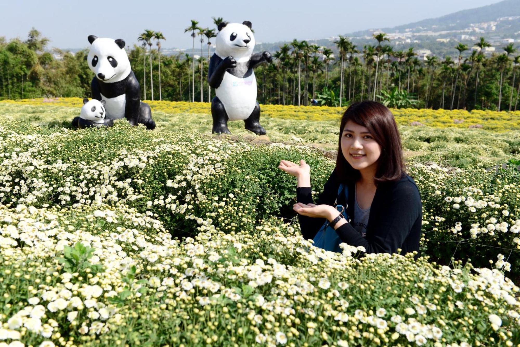 Miaoli Sanyi Shantongyazhu Homestay Ngoại thất bức ảnh