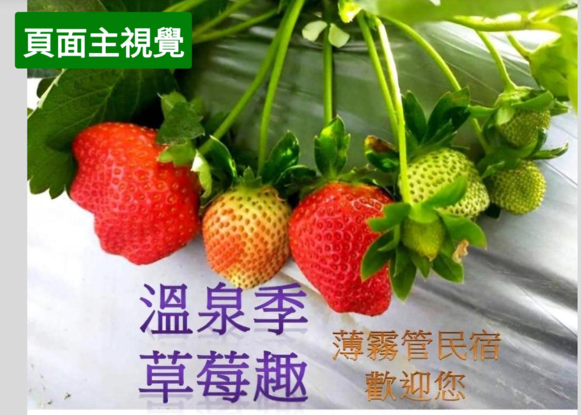 Miaoli Sanyi Shantongyazhu Homestay Ngoại thất bức ảnh